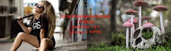 мяу мяу мука Нефтегорск