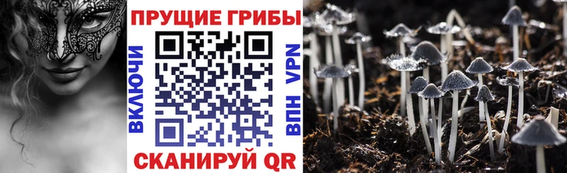 Псилоцибиновые грибы MAGIC MUSHROOMS  ссылка на мегу рабочий сайт  Терек 